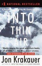 Into Thin Air Summary