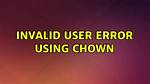 Invalid User Error Using Chown