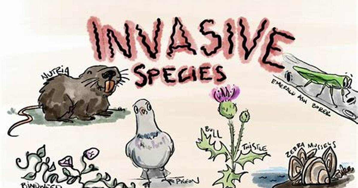 Invasive Synonym