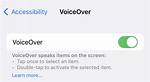 IOS Voiceover Status