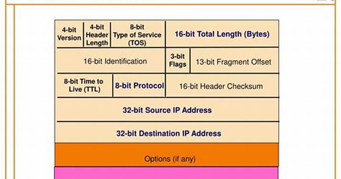 Ip Packet