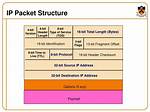 Ip Packet
