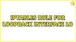 Iptables Rule for Loopback Interface Lo