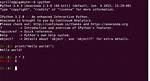 Ipython vs ~/. Local/Bin/Ipython