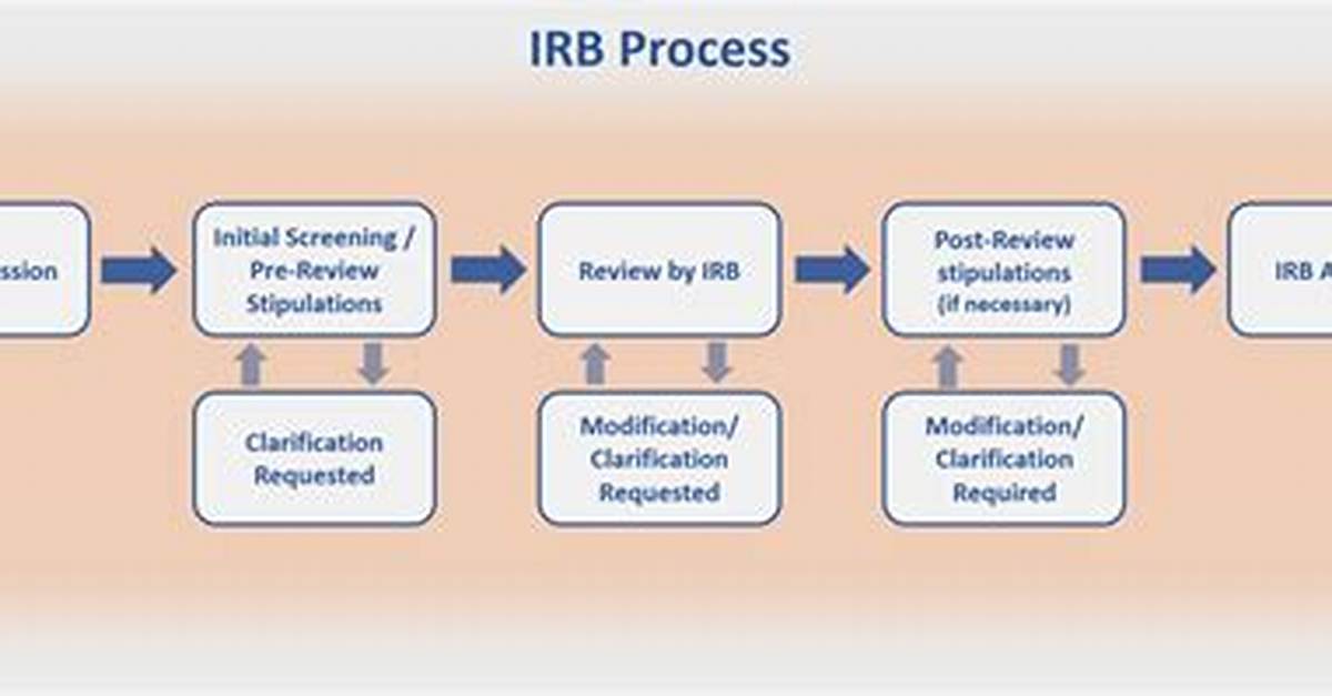 Irb Submission Process