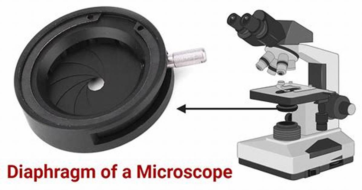 Iris Diaphragm