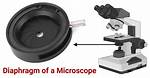 Iris Diaphragm