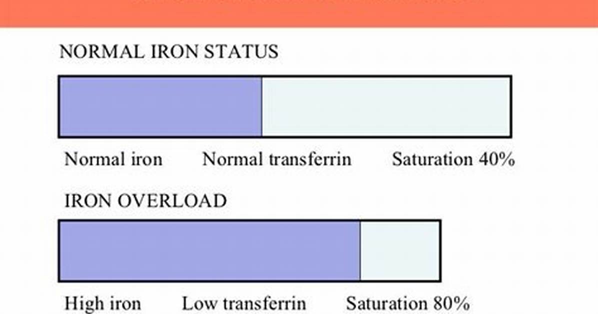 Iron Saturation Normal Range