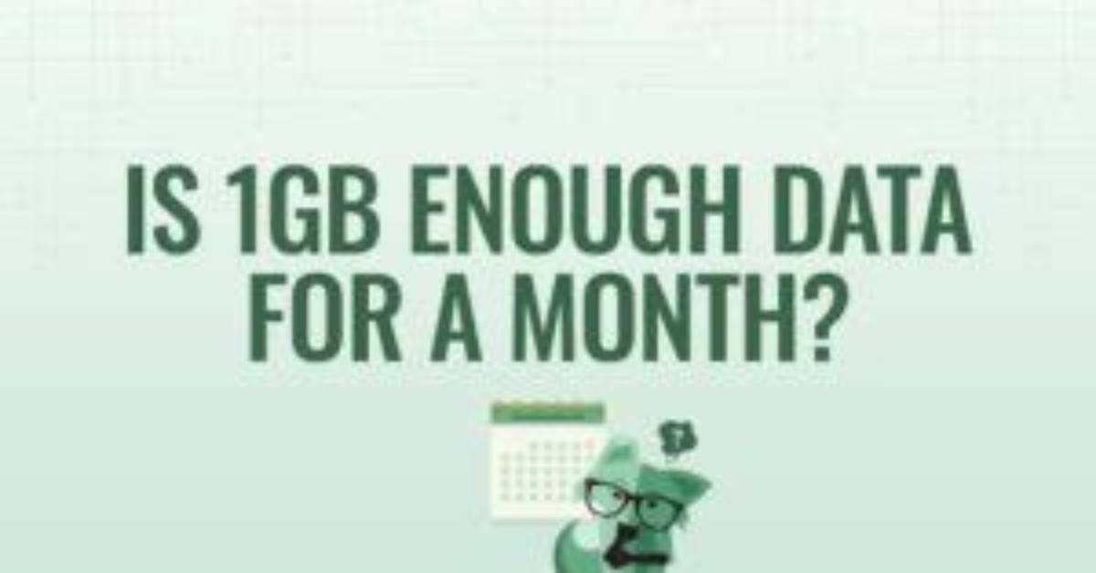 Is 1Gb Data Enough? | Contextresponse. Com