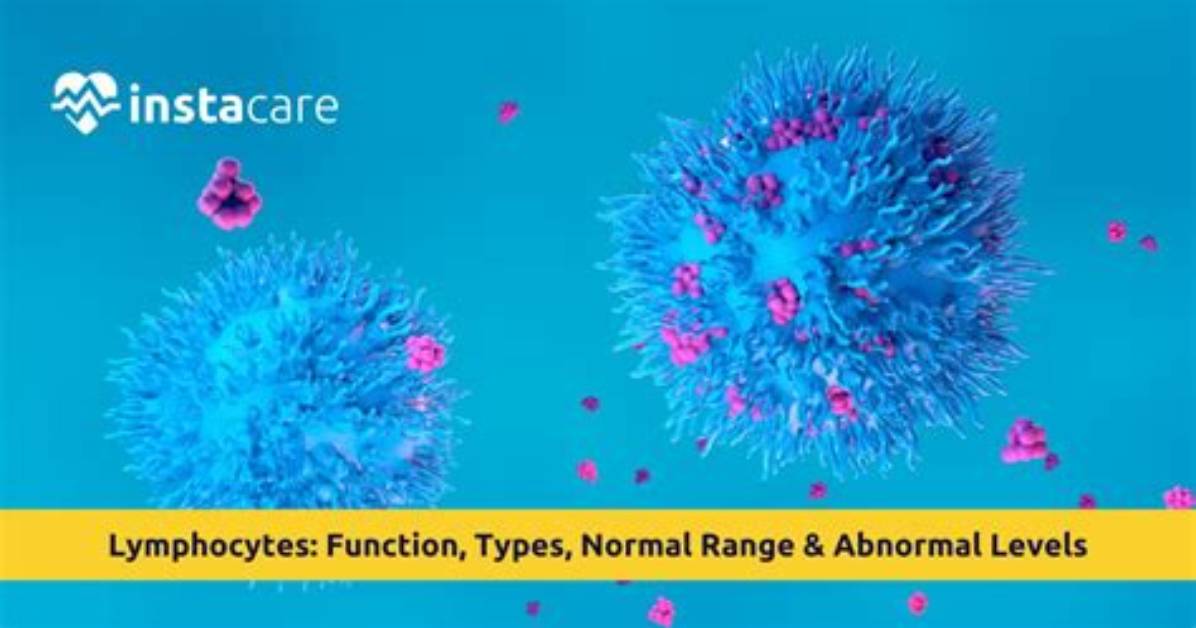 Is 41% Lymphocytes Normal