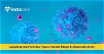 Is 41% Lymphocytes Normal