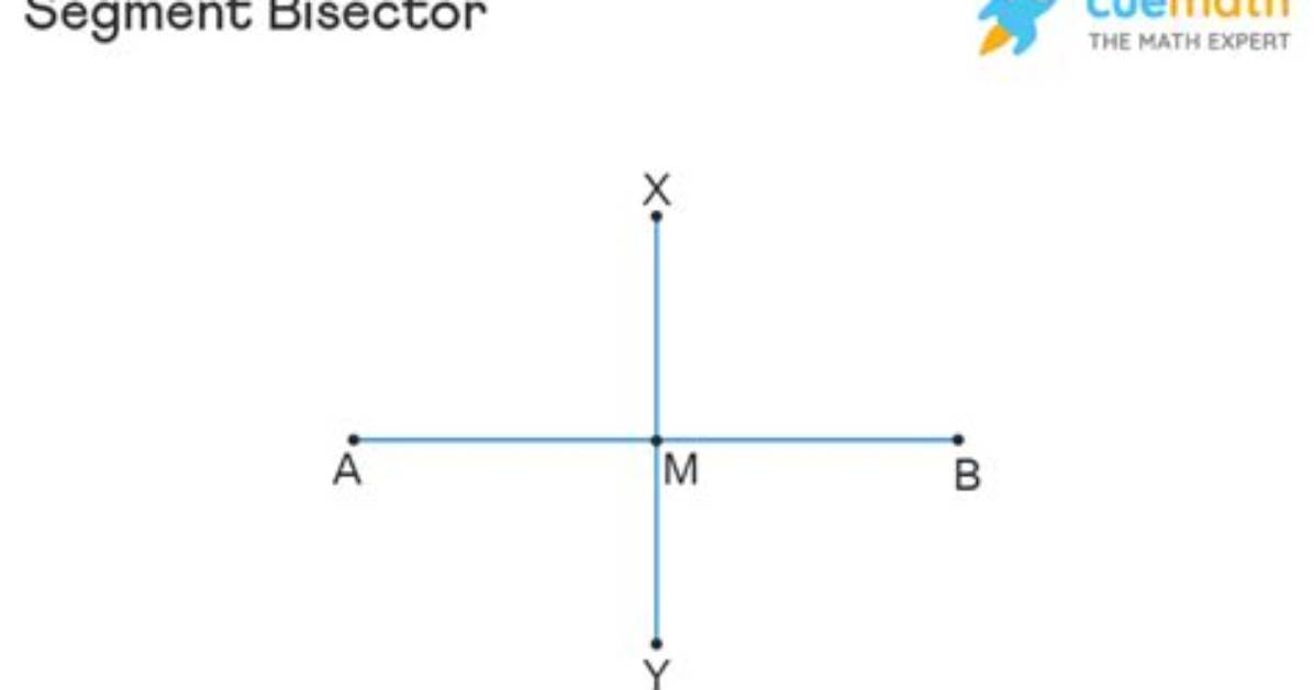 Is a Bisector Segment?