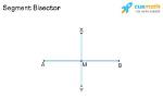 Is a Bisector Segment?