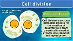 Is a Cell Divides?