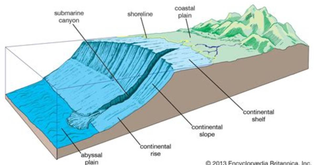 Is a Continental Margin?