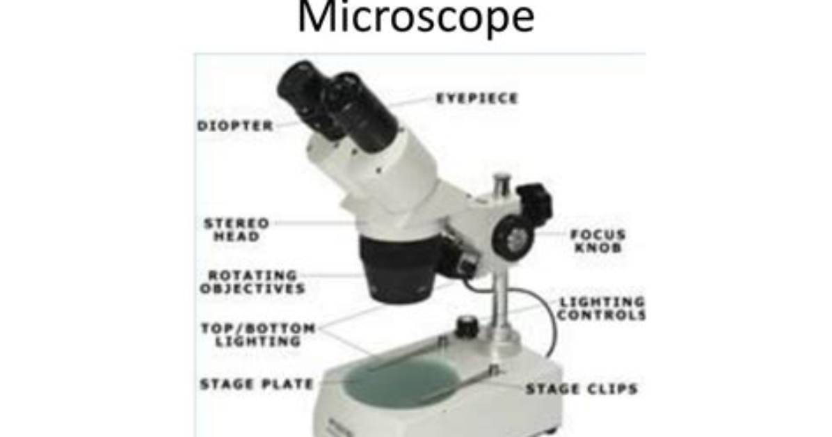 Is a Dissecting Microscope a Light Microscope?