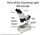 Is a Dissecting Microscope a Light Microscope?