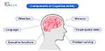 Is a Mental Ability?