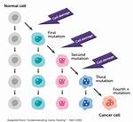 Is a Mutations Cell?