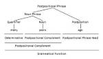 Is a Postpositional Phrase?