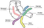Is a Retrocecal Appendix Bad?