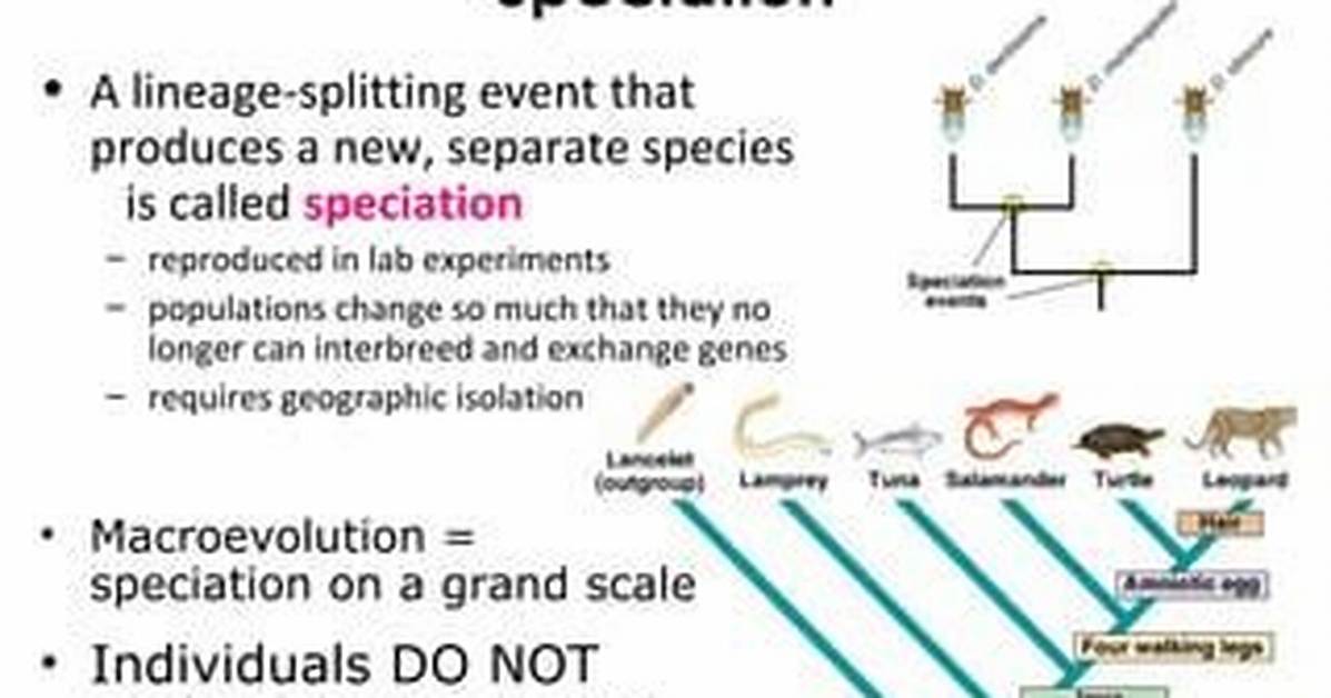 Is a Speciation Event?