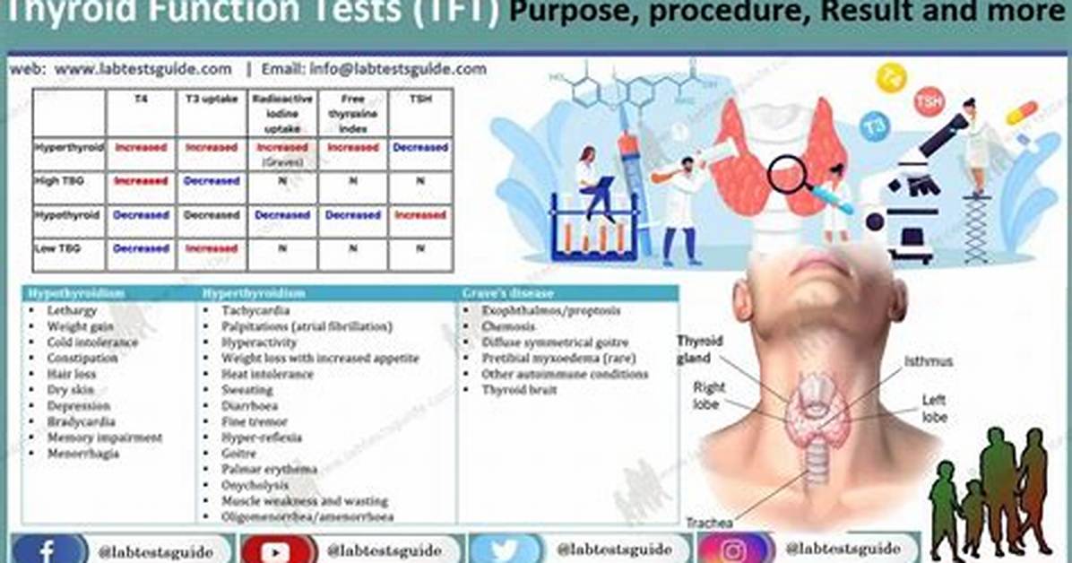 Is a Thyroid Function Test?