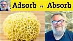 Is Absorbency a Word?