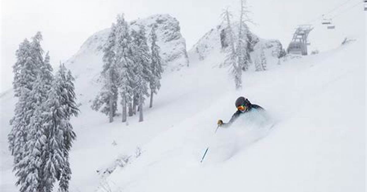 Is Alpine Meadows Open