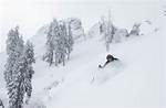 Is Alpine Meadows Open