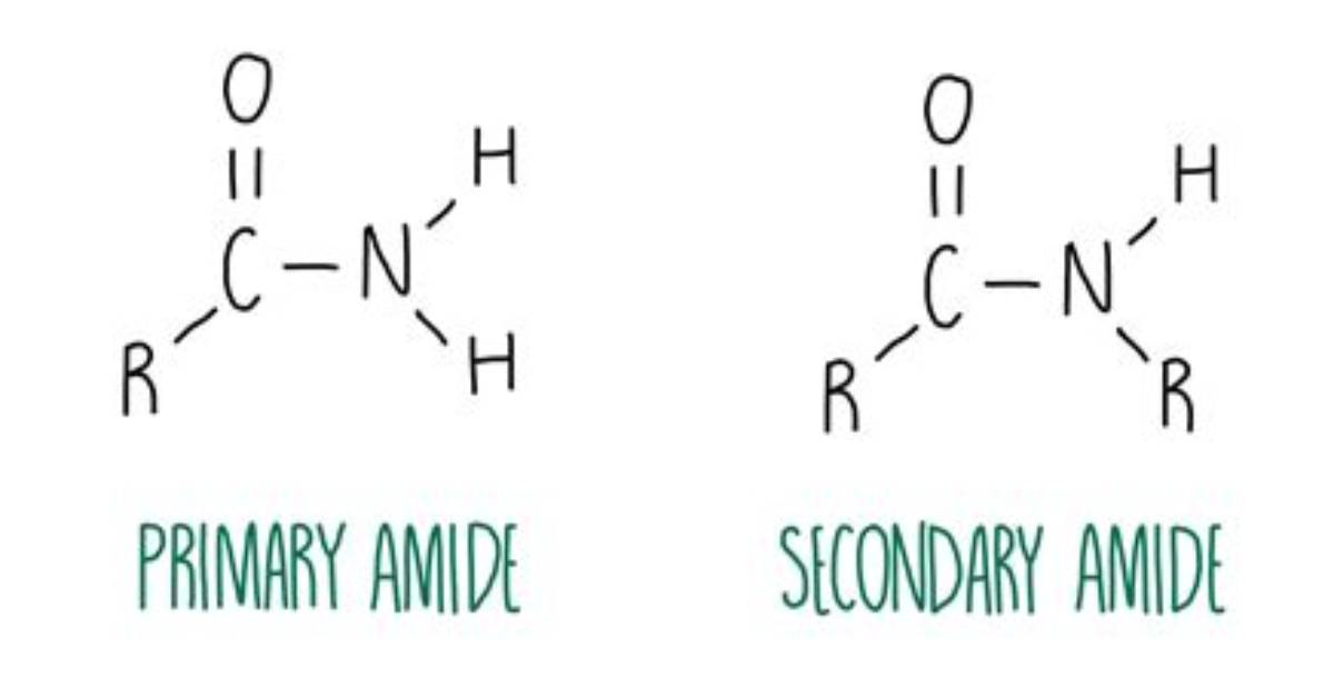 Is Amides a Base?