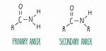 Is Amides a Base?