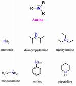 Is Amine a Functional Group?
