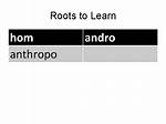 Is Andro a Prefix?