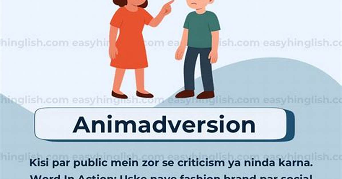 Is Animadversion a Adjective?