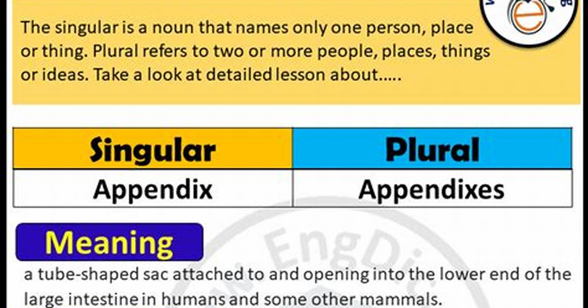 Is Appendix Singular or Plural?