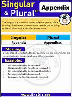 Is Appendix Singular or Plural?