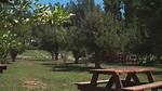 Is Apple Hill Open
