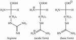 Is Arginine Acidic or Basic