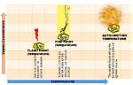 Is Autoignition Temperature Flash Point?