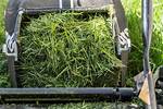Is Bagging Grass Good