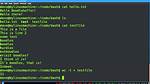 Is Bash a Programming Language?
