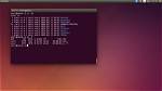Is Bash Only for Linux?