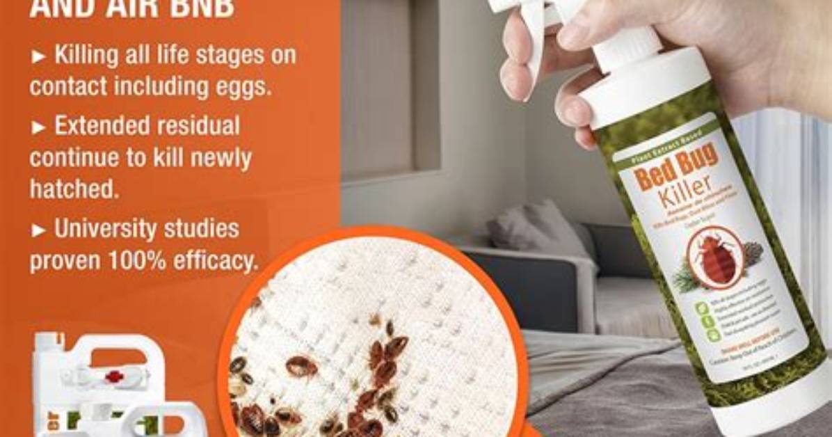 Is Bed Bug Spray Effective?