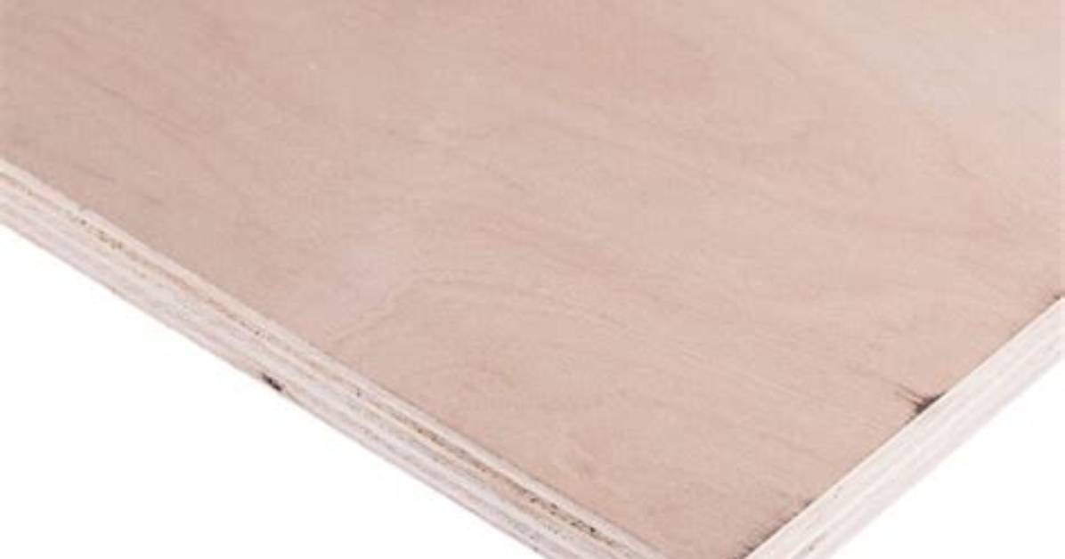 Is Beech Suitable for External Use