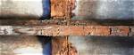 Is Blackbutt Termite Resistant?