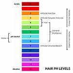 Is Bleach pH Neutral? | Contextresponse. Com