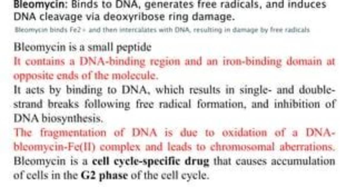 Is Bleomycin Cell Cycle Specific?