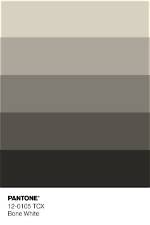Is Bone White Grey