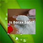 Is Borax Safe